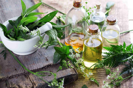 Fragrance Oil vs. Essential Oils: